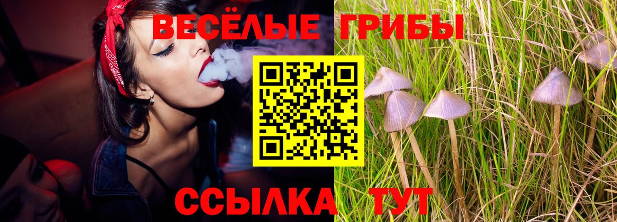 Псилоцибиновые грибы Psilocybine cubensis  Галлюциногенные грибы прущие грибы  Вход с VPN  Углич 