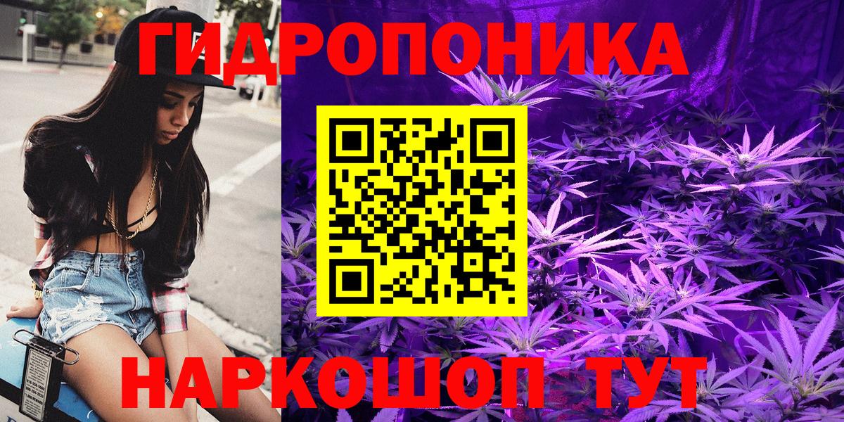 Марихуана план Углич